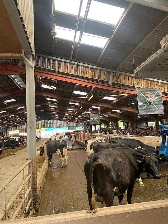 ABIFAN,XP2,Stalllüfter,Hallenlüfter,Stallventilator,Lüfter