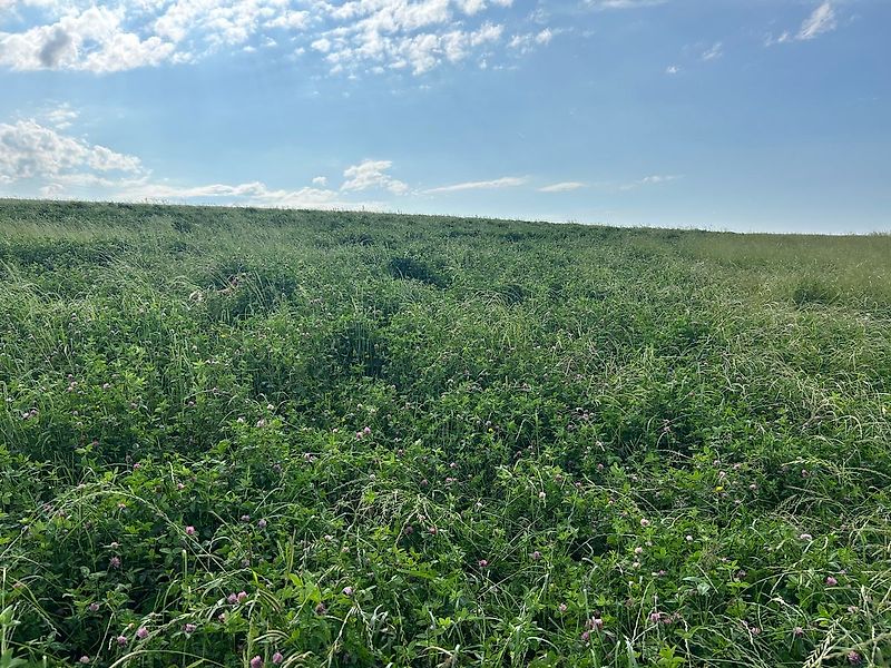 SMS Smart 300 + APV PS Direktsaatmaschine