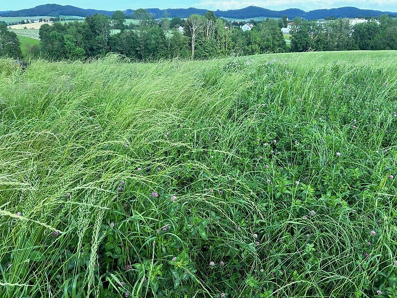 SMS Smart 300 + APV PS Direktsaatmaschine