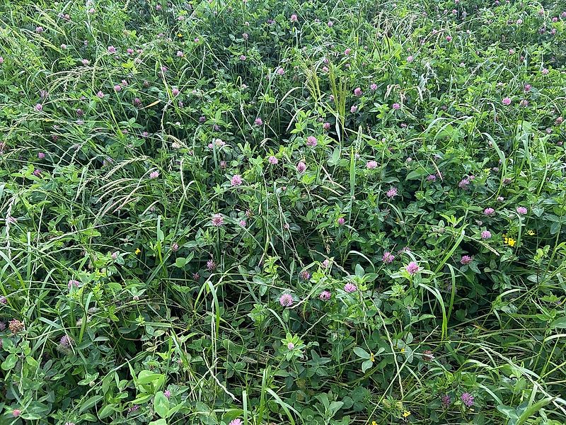 SMS Smart 300 + APV PS Direktsaatmaschine