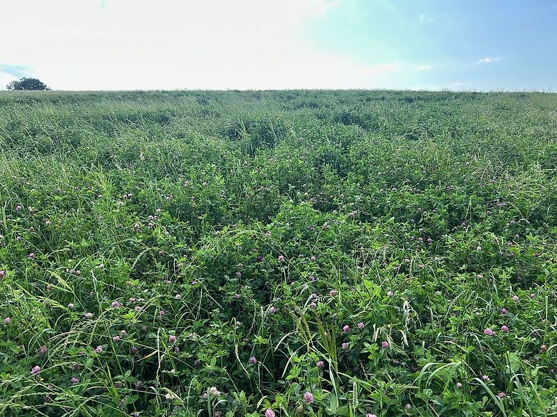 SMS Smart 300 + APV PS Direktsaatmaschine