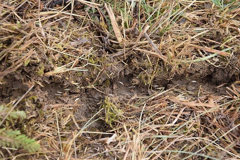 SMS Smart 300 + APV PS Direktsaatmaschine