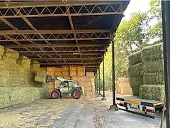 Heu, Pferdefutter, HD Kleinballen, Bio Heu, Heulage