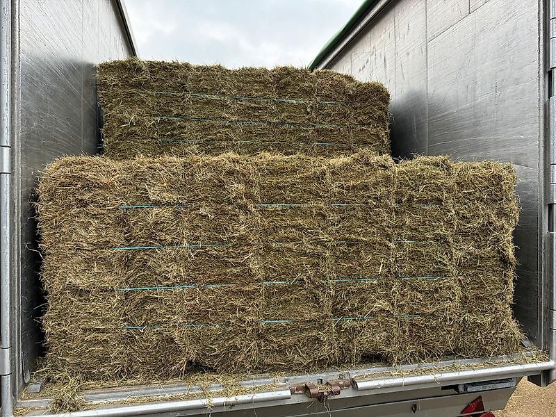 Heu, Pferdefutter, HD Kleinballen, Bio Heu, Heulage