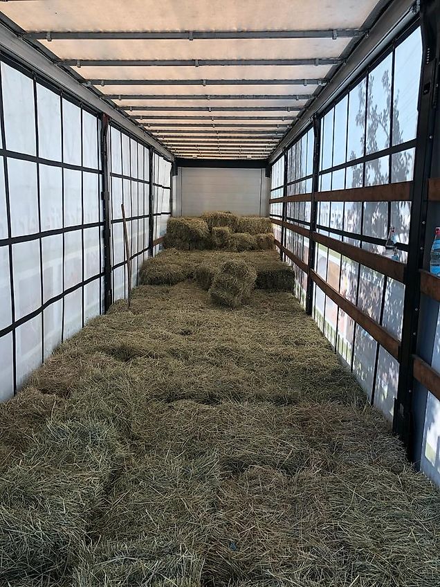 Heu, Pferdefutter, HD Kleinballen, Bio Heu, Heulage