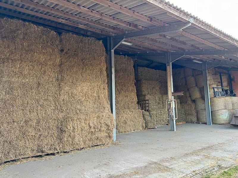 Heu, Pferdefutter, HD Kleinballen, Bio Heu, Heulage