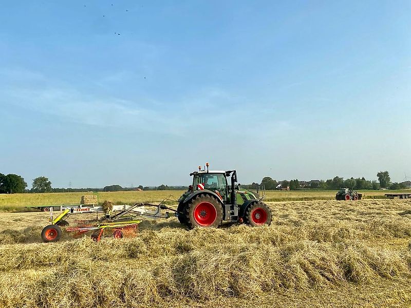 Heu, Pferdefutter, HD Kleinballen, Bio Heu, Heulage