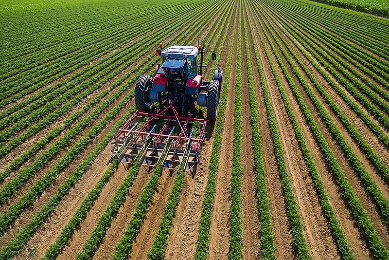 HAK HAVELAAR; EX 75 ; für 4 Gemüse-, Kartoffeldaemme , Dammhackmaschine , 4 reihig , VERSTELLBAR ( mit Zusatzoptionen)