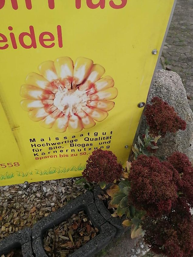 Krone Krone 5schar Schwenkpflug Schwingpflug Allround R/L140-Non Stop 225cm Arbeitsbreite Leistungsbedarf von 85-125PS Gewicht 1180kg Kein Howard Lemken Drehplug