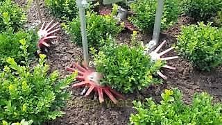 HAK HAVELAAR LTC-Serie LTC1-LTC2/UNIVERSAL ( im Förderprogramm 40 % enthalten )