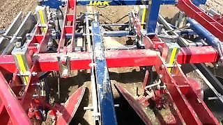 HAK HAVELAAR EX-serie EX