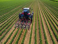 HAK HAVELAAR; EX 75 ; für 4 Gemüse-, Kartoffeldaemme , Dammhackmaschine , 4 reihig , VERSTELLBAR ( mit Zusatzoptionen)