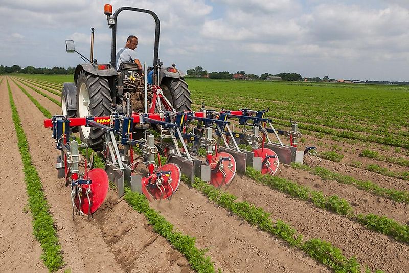 HAK HAVELAAR XHR Serie ; Zwiebel ; Karotten ( auch für Zwillingsreihen)