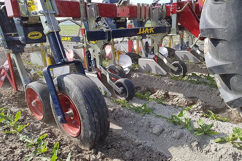 HAK HAVELAAR XHR Serie ; Zwiebel ; Karotten ( auch für Zwillingsreihen)
