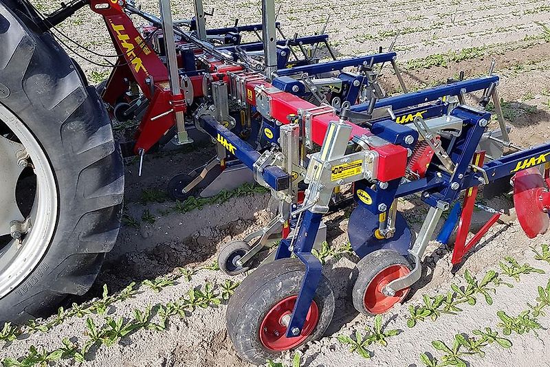 HAK HAVELAAR XHR Serie ; Zwiebel ; Karotten ( auch für Zwillingsreihen)