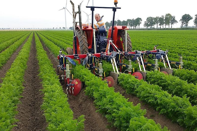 HAK HAVELAAR XHR Serie ; Zwiebel ; Karotten ( auch für Zwillingsreihen)